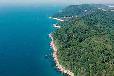 上海申花队换帅：博阿斯卸任，曹阳接任，原上海申花队员全部名单