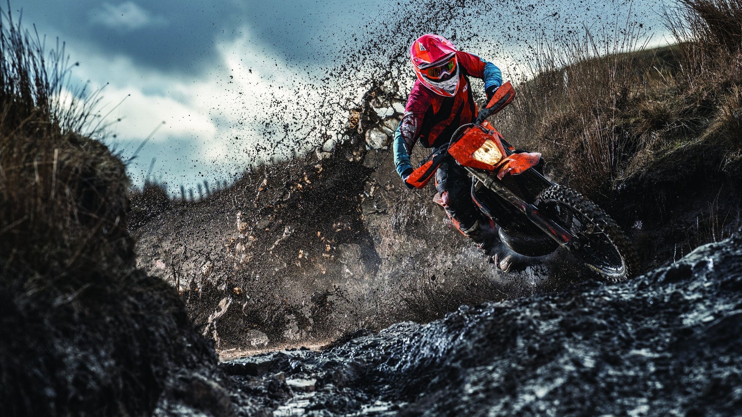 WRC车手风采：谁将领跑新赛季？，wrc2021车队及车手