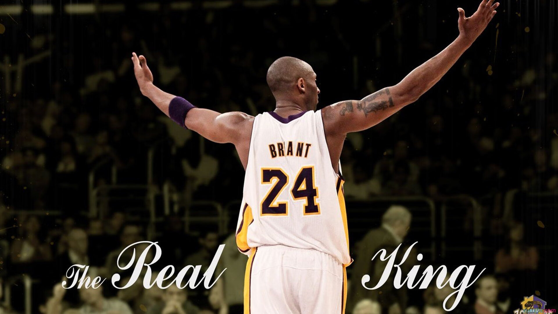 _奇才队主场迎战对手，全队奋战到底_，奇才队成员