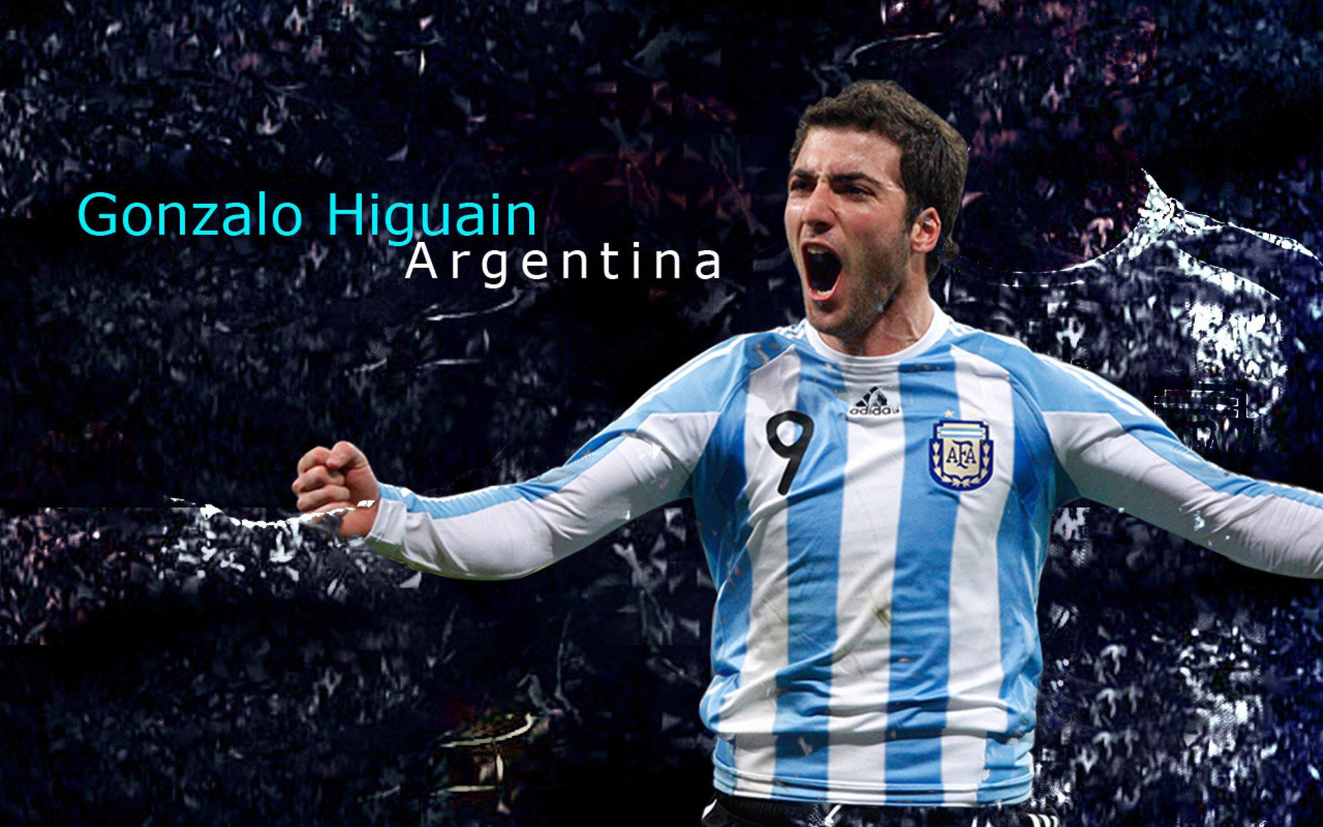 _魔术队奋勇争先，冲击季后赛席位_，魔术队成员名单